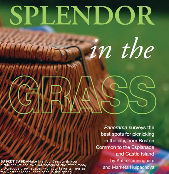 Splendor in the Grass by Katie Cunningham and Marketa Hulpachova